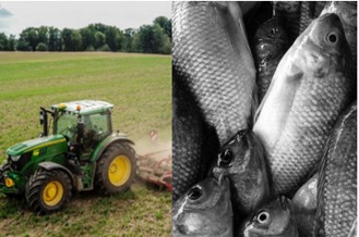 Tractor-and-dead-fish.jpg Tractor-and-dead-fish.jpg